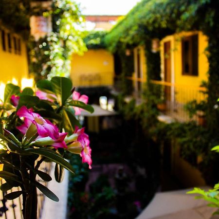 Oaxaca Hotel Dainzu מראה חיצוני תמונה
