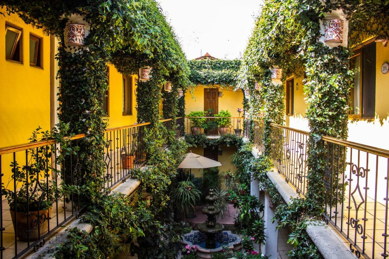 Oaxaca Hotel Dainzu מראה חיצוני תמונה